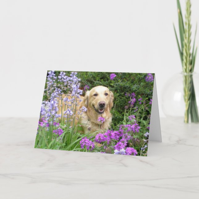 Grußkarte Goldener Retriever in Blume Karte (Vorderseite)