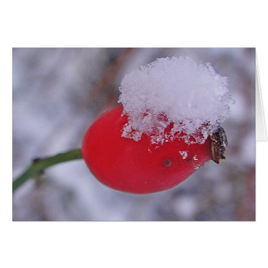 Grusskarte grosse Hagebutte mit Schnee, blanko Karte