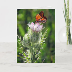 Grußkarte Gulf Fritillary (3306) Karte