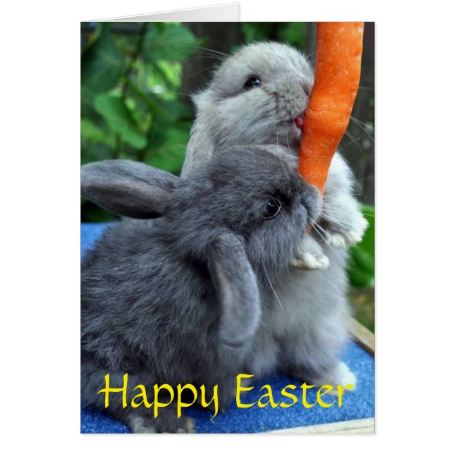 Grußkarte "Happy Oaster Bunnies" (Vorne)
