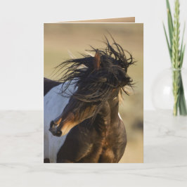 Grußkarte "Head Shake Wild Horse" Karte