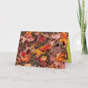 Grußkarte/Herbst Karte