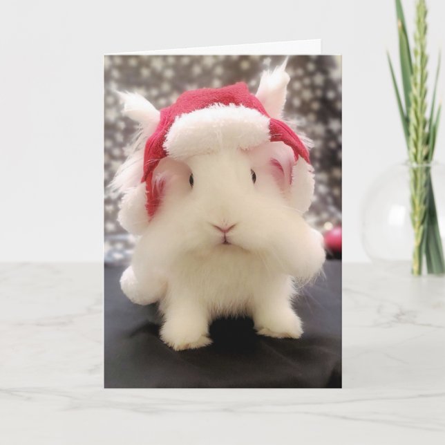 Grußkarte "Hoppy Holidays" Feiertagskarte (Vorderseite)