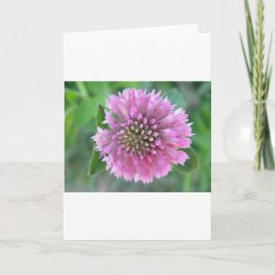 Grußkarte hübsch rosa Wildblume Karte