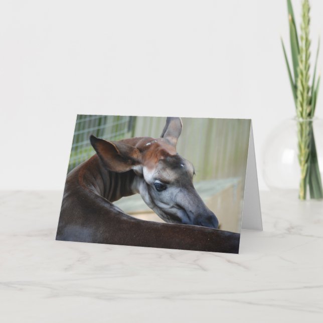 Grußkarte "Itchy Okapi" Karte (Vorderseite)