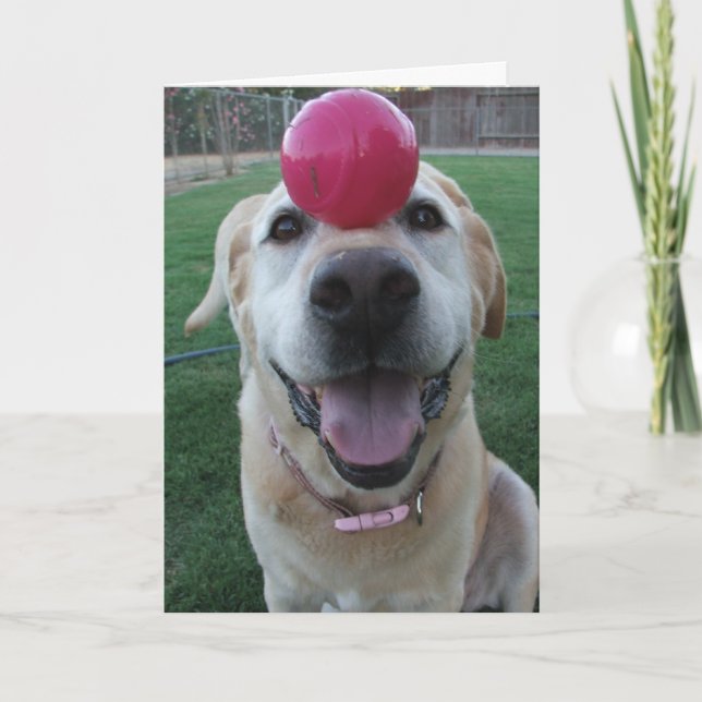 Grußkarte Karte (Vorderseite)