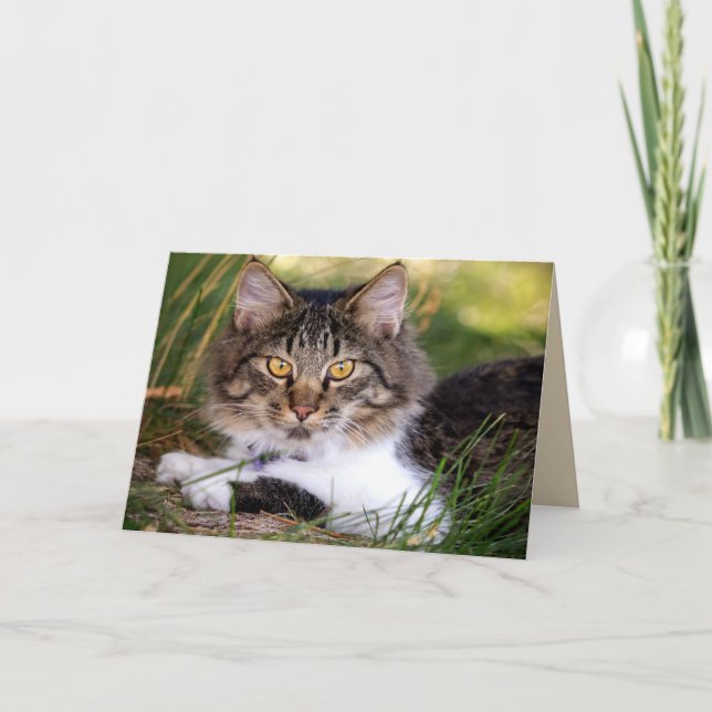 Grußkarte Karte (Vorderseite)