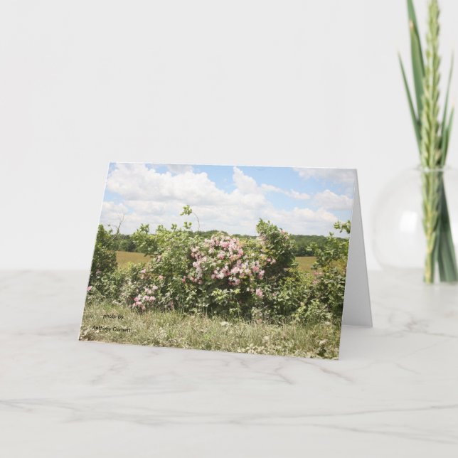 Grußkarte Karte (Vorderseite)