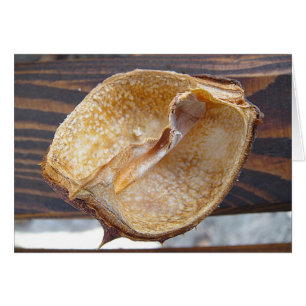 Grusskarte Kastanienschale, blanko