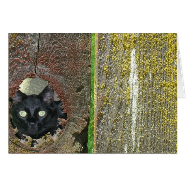 Grußkarte - Katzensprung durch den Zaun (Vorderseite (Horizontal))