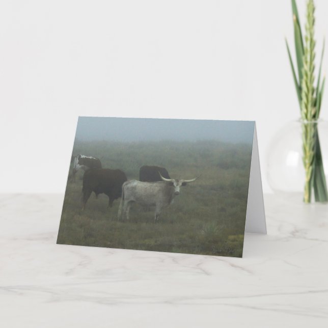 Grußkarte "Longhorns in the Fog" (innen leer) Karte (Vorderseite)