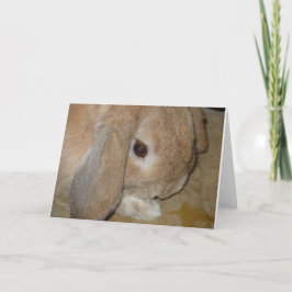 Grußkarte - Love Oared Zwarf Rabbit Karte