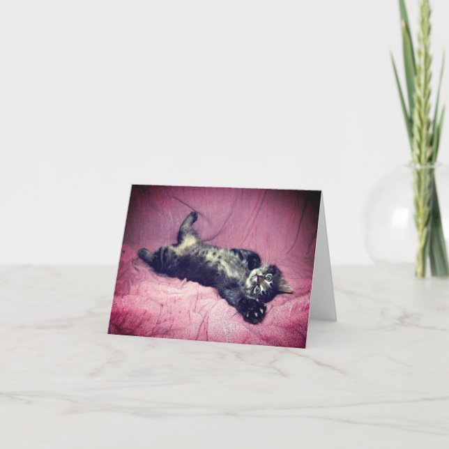 Grußkarte Maine Coon Cat Kitten Karte (Vorderseite)