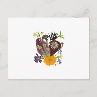 Grußkarte mit gepressten Blume Postkarte