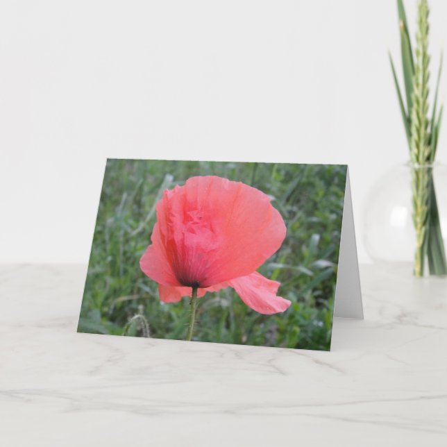Grusskarte mit Mohnblume: Guten Tag Karte (Vorderseite)