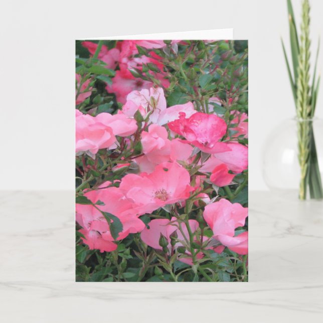 Grußkarte mit rosa Rosen Karte (Vorderseite)