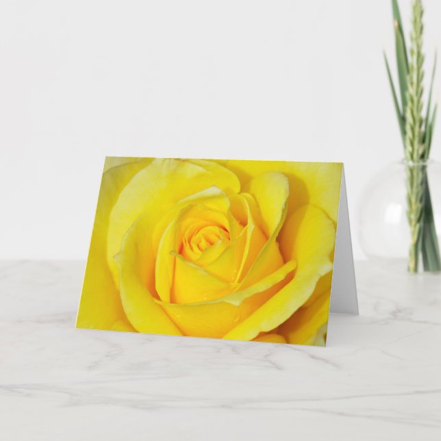 Grußkarte mit schöner gelber Rose Karte (Vorderseite)
