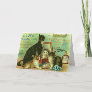 Grußkarte mit Vintager Darstellung der Kätzchen Karte