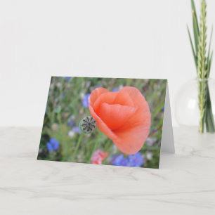 Grußkarte Mohnherz Blume, in Blankoform geformt Karte