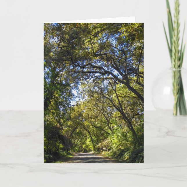 Grußkarte NorCal Natur: Valley Oaks Card Karte (Vorderseite)