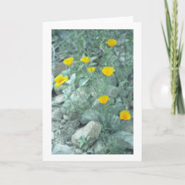 Grußkarte oder Karte für Wüstenfrühlingsblumen