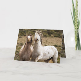 Grußkarte Pferd lachen Wildes Pferd Karte