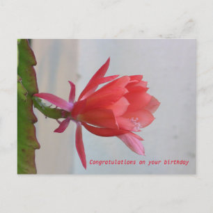 Grußkarte Postkarte