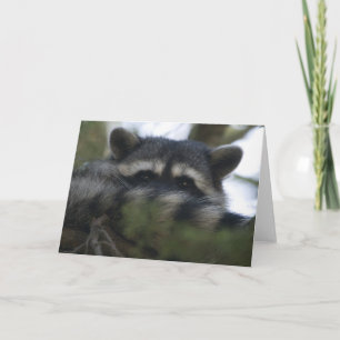 Grußkarte: Racoon Karte