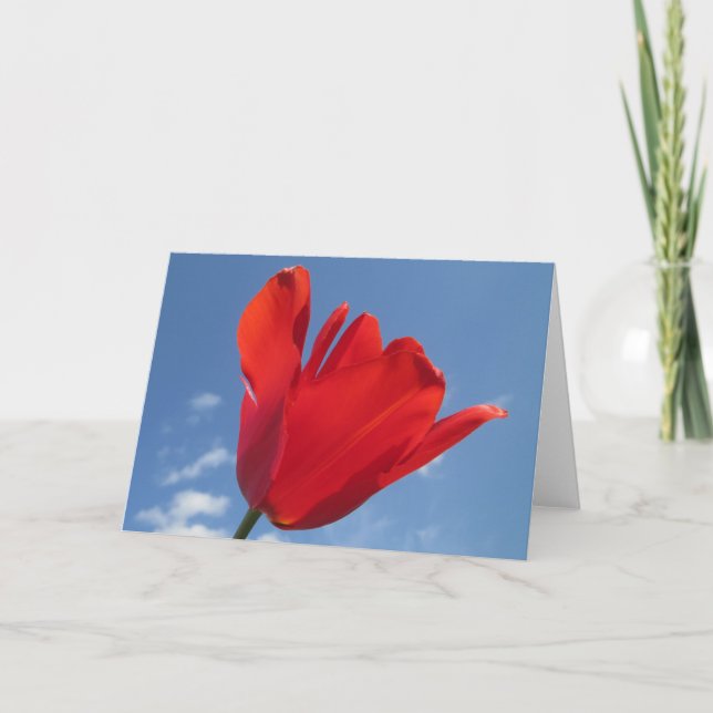 Grußkarte - Red Tulip Blue Sky Karte (Vorderseite)