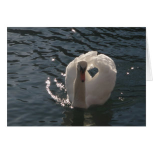 Grusskarte romantischer weisser Schwan