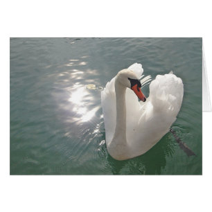 Grußkarte romantischer weißer Schwan