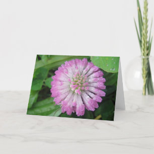 Grußkarte rosa Kleeblatt mit Wassertropfen Karte