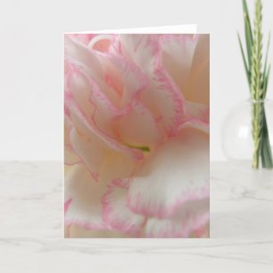 Grußkarte Rosa und Weiß Karte