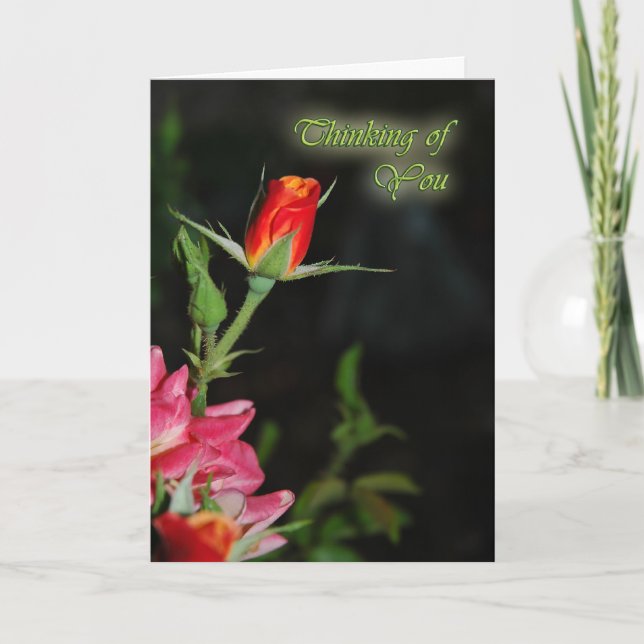 Grußkarte Rose Beileid Karte (Vorderseite)