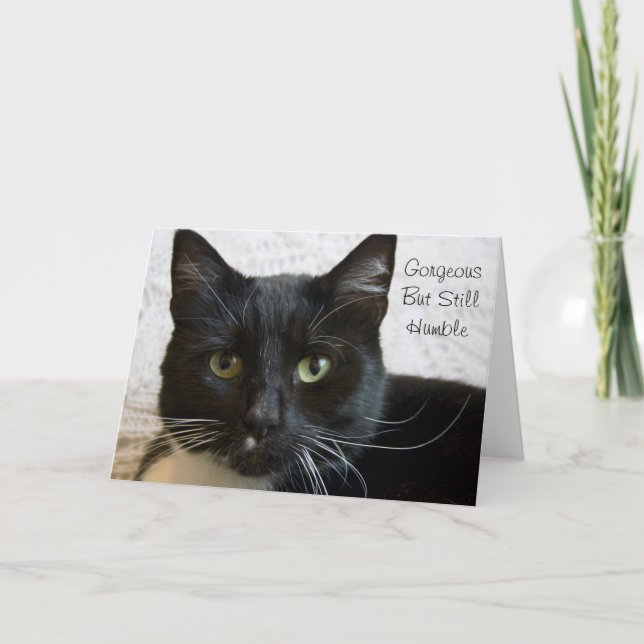 Grußkarte: Schöne Katze Karte (Vorderseite)