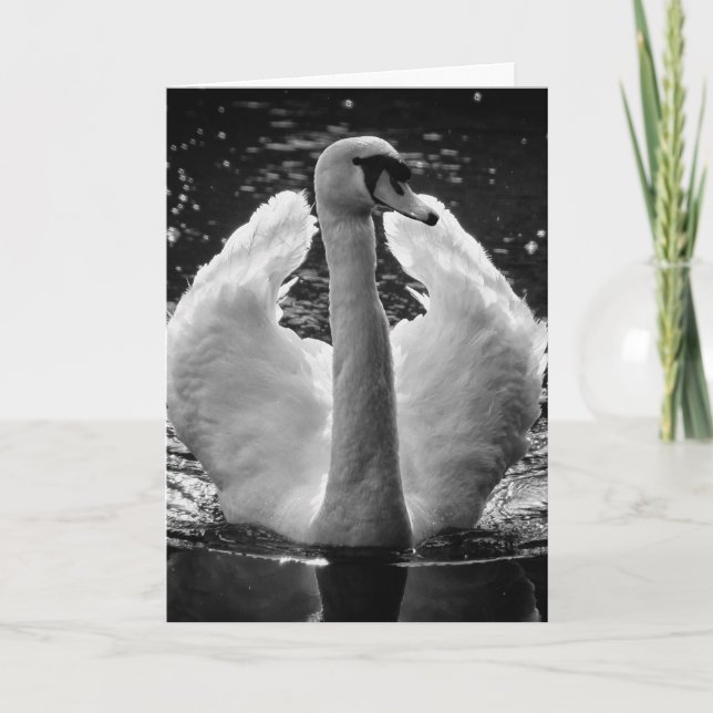 Grußkarte - Schwarz-weißer Foto Swan Karte (Vorderseite)