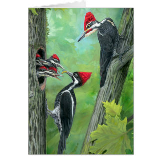 Grußkarte Spechtfamilie Wildnis rot