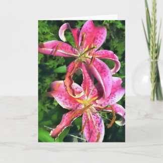 Grußkarte Stargazer Lilies Karte