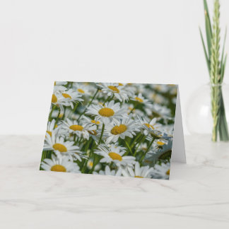 Grußkarte - Sternchen in Vermont Karte