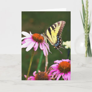 Grußkarte Tiger Frack auf Coneflower Karte