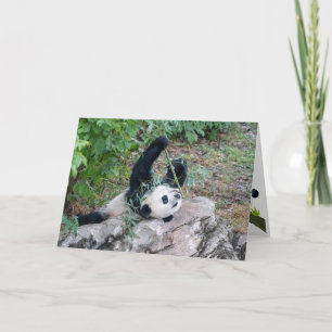 Grußkarte von Giant Panda Just Chillaxin Karte