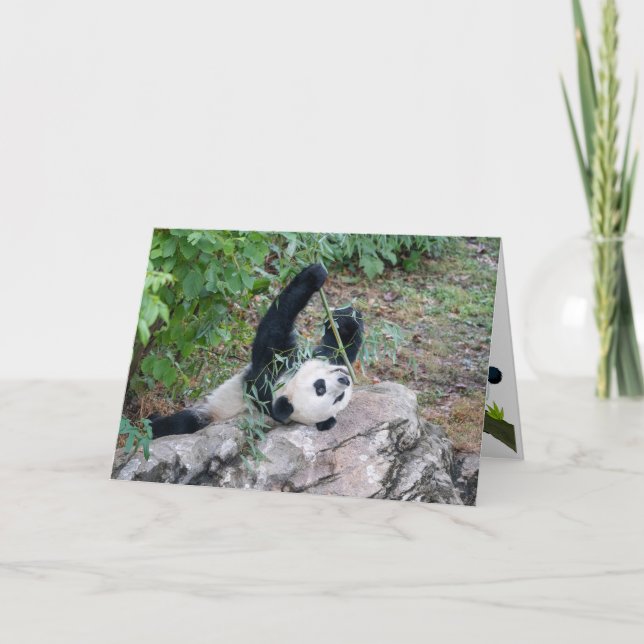 Grußkarte von Giant Panda Just Chillaxin Karte (Vorderseite)