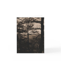 Grußkarte Wald Natur Landschaft