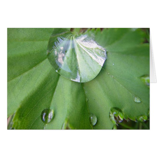 Grusskarte Wassertropfen mit Spiegelungen, blanko Karte