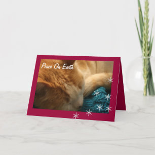 Grußkarte: Weihnachts-Katzen-Nickerchen Ephesianer Feiertagskarte