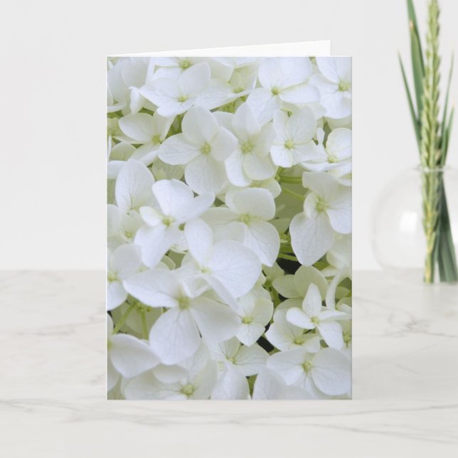 Grußkarte - Weißes Hydrangea Karte (Vorderseite)