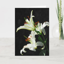 Grußkarte "White Lilies" Karte