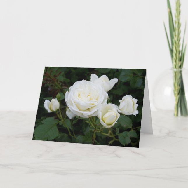 Grußkarte "White Roses" Karte (Vorderseite)