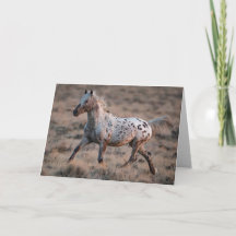 Grußkarte Wildes Pferd Aussehen Glastrollen