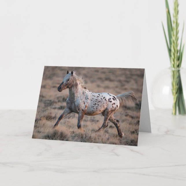 Grußkarte Wildes Pferd Aussehen Glastrollen Karte (Vorderseite)